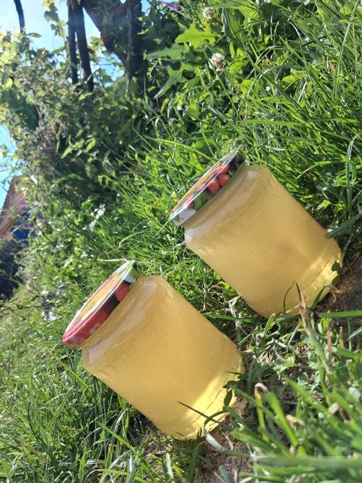 Miere de salcâm naturală
