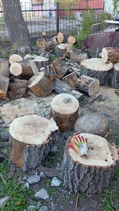 Самовывоз,дрова для бани