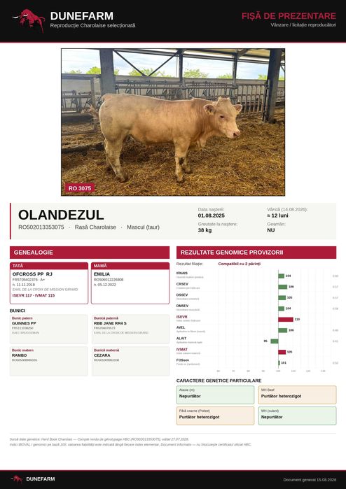 Tăuri Charolaise cu certificat genetic Franța – DUNEFARM