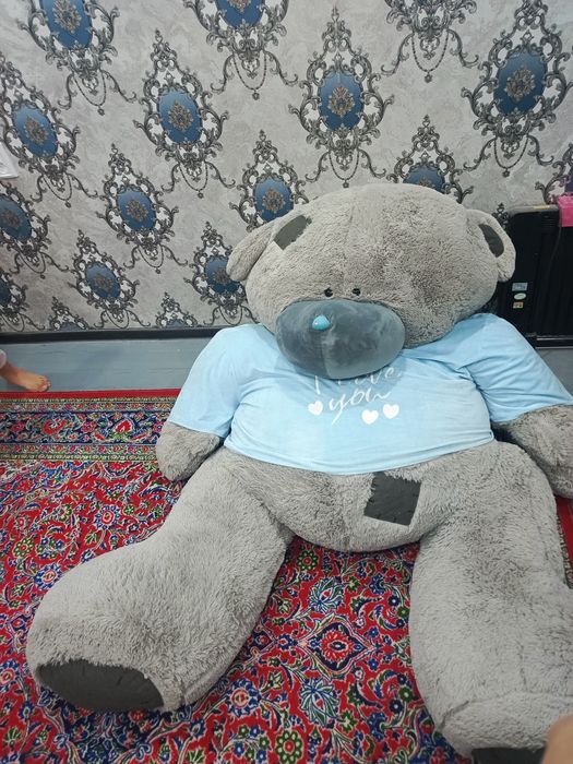 Teddy ayiq igrushka
