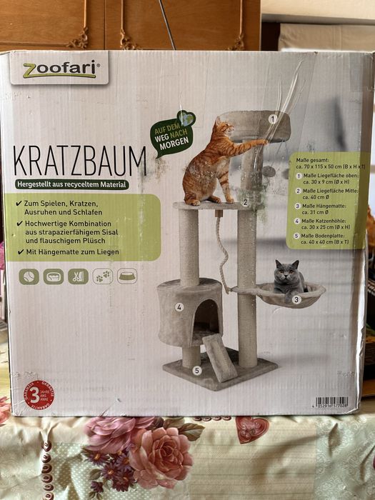 Ansamblu joaca pisici