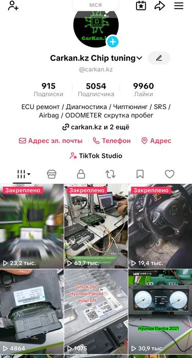 Чип тюнинг авто прошивка ЭБУ Immo off