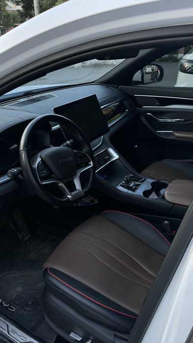 BYD Song Plus DM-i Champion 2024 — 3