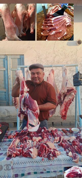 Qassob xizmati Quy soyish Mol soyish xizmati