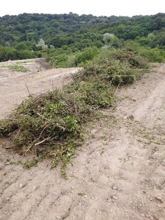 От 1лв на кв.м разчиства буренясали вили