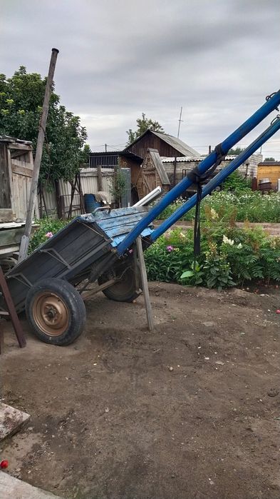 Ишак  девочка продаётся вместе с телегой