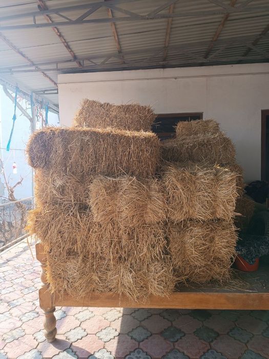 Самон прес сотилади