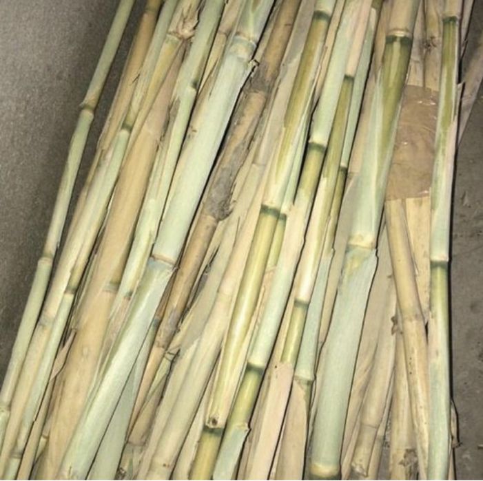 Бамбук палки стволы для декора