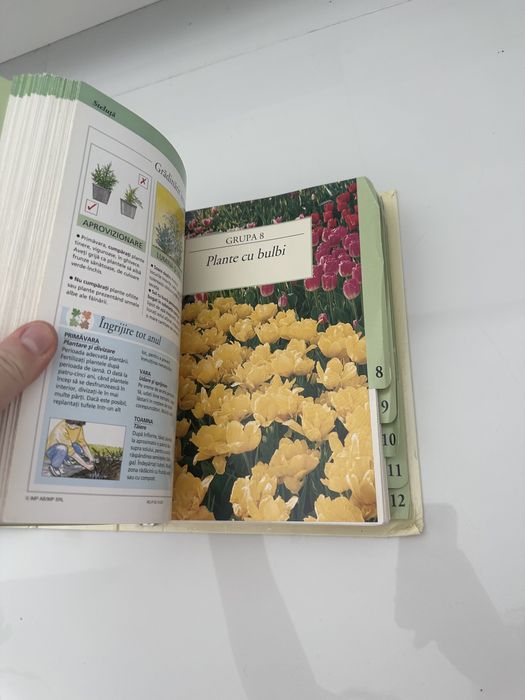 Gradinarit in orice anotimp