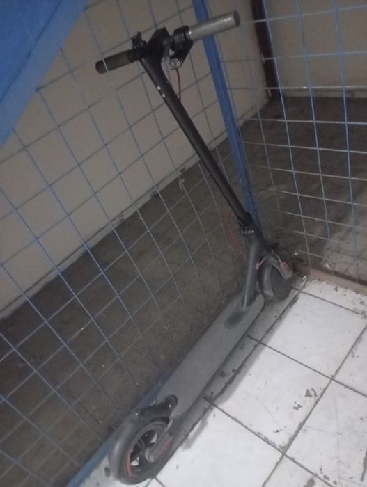 Самокат Xiaomi M365