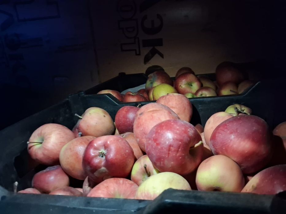 Яблоки второго сорта
