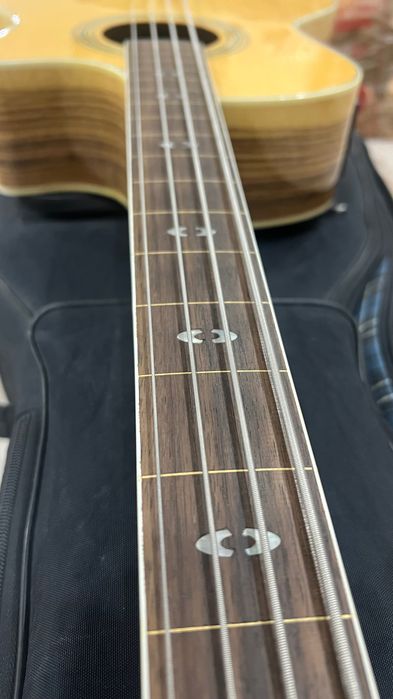 Акустическая бас гитара Hohner EAB65 безладовая