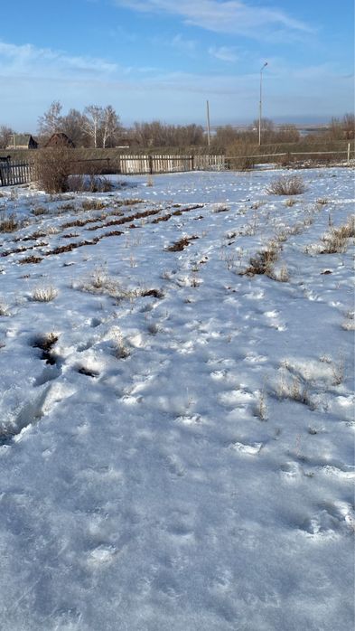 Дача СПП металлург