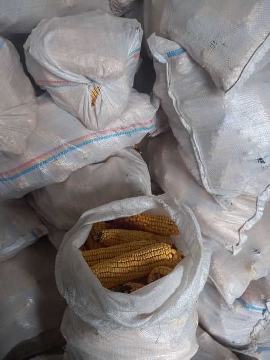 Stiuleti de vânzare