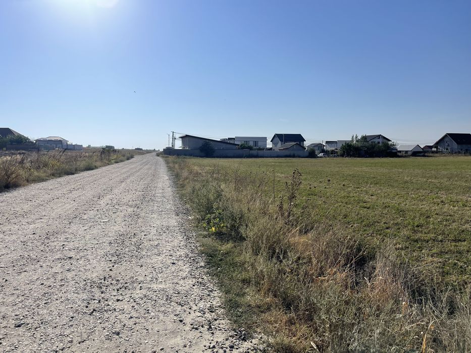 2 Terenuri Com Berceni lac Mamina