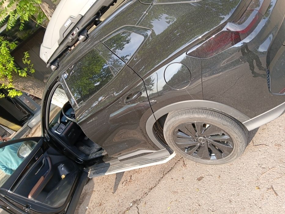 Other Song Pro DM-i Champion 2024 — 5