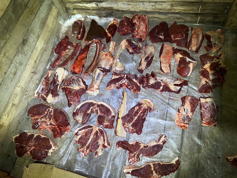 Продам свежее мясо по частям