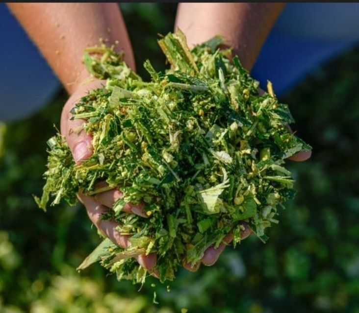 Продам силос не дорого