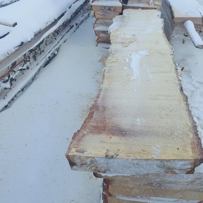 Осина, Берёза, Сосна