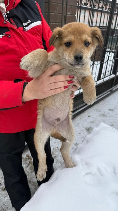 Актианые малыши мальчики и девочки