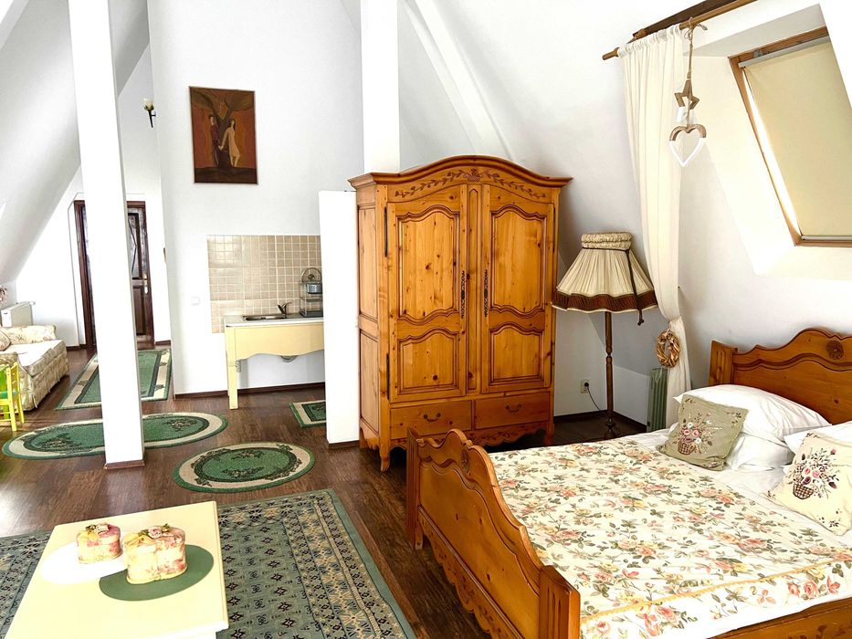 Pensiune agroturistica de vanzare in localitatea Horodnic de Sus -SV