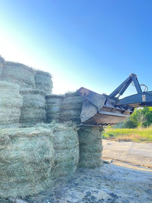 Vând baloți rotunzi de fan 125/125