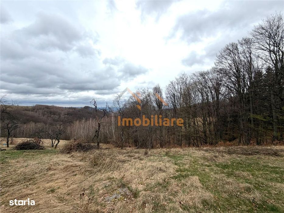 Teren 34.000 Mp | Serani Bihor