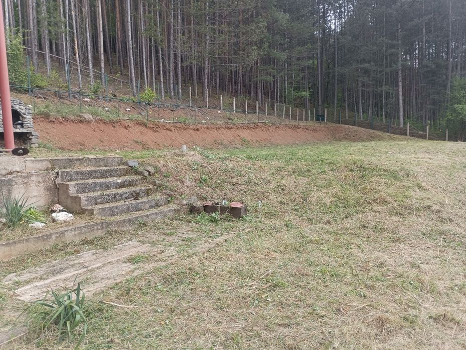 Почистване на запустели терени и имоти