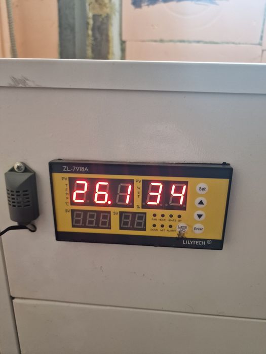 Оборудование для чистки ковров