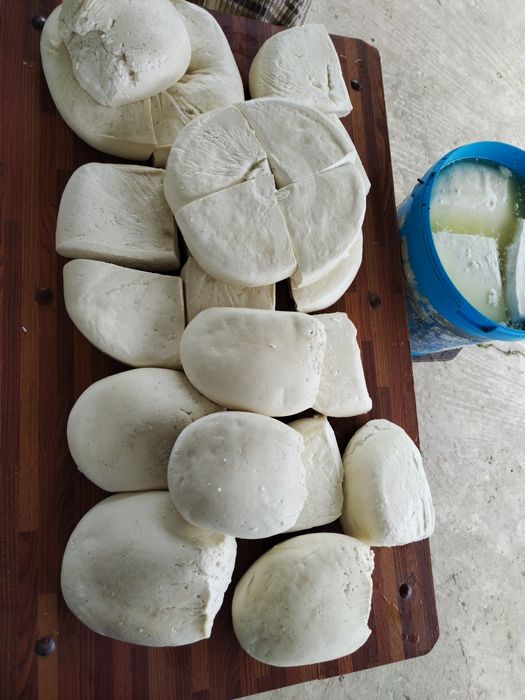 Vând brânză de capră !