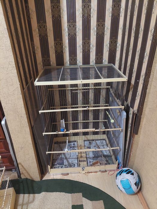 Клетки для птиц  хорошем качестве