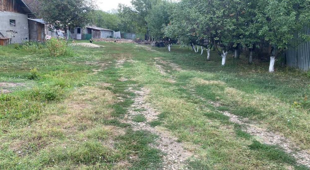 Teren Gorgota-Potigrafu