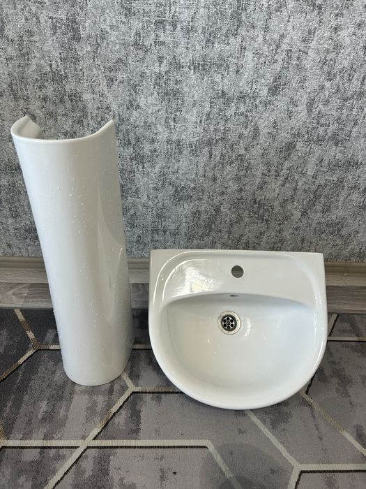 Раковина тюльпан