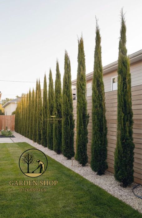 Ofer servici complete  de amenajari gradai si spatii verzi