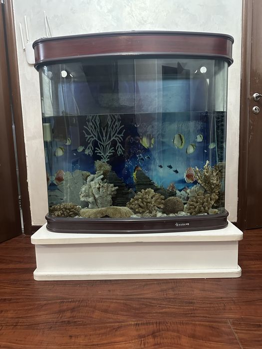 Аквариум с подставкой
