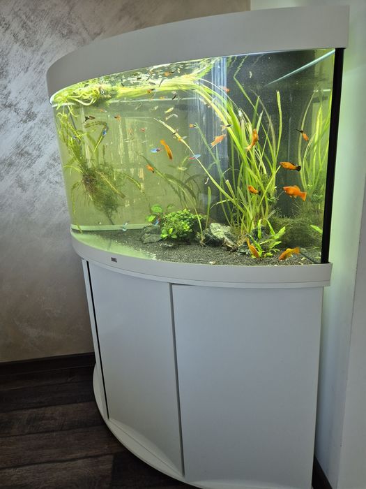 Acvariu pesti exotici juwel trigon led 350 litri