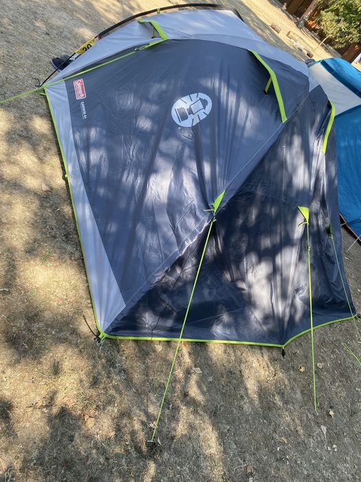 Cort Coleman Darwin 4+