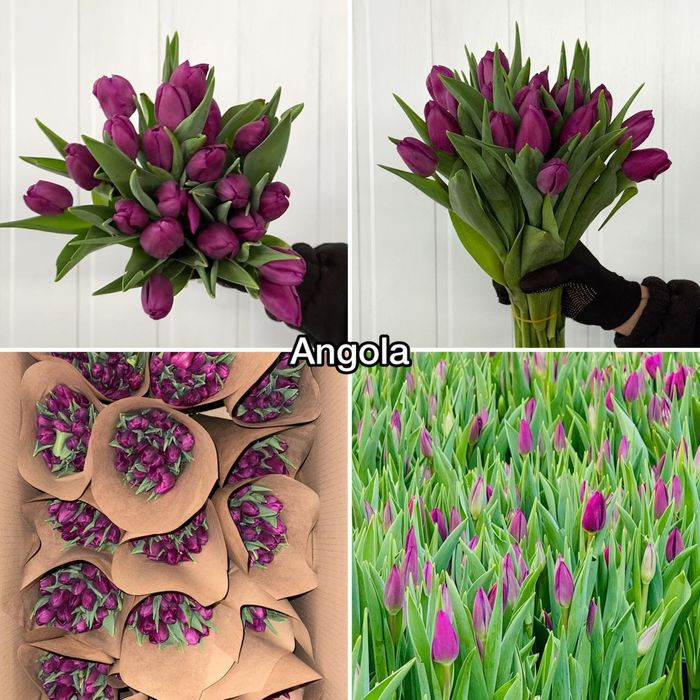 Доставка цветов по г.Семей