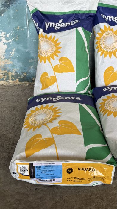 Vând samânta floare soarelui sygenta