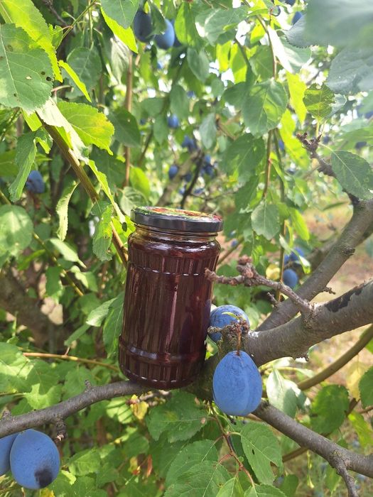 Gem prune 100% natural