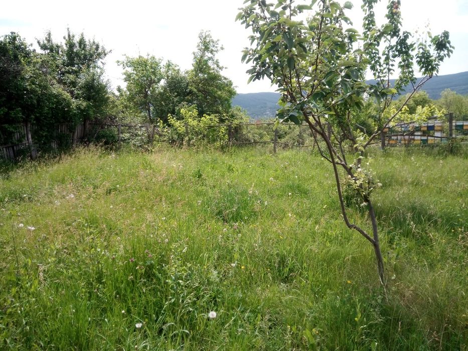 Parcare rulota și ambarcatiuni