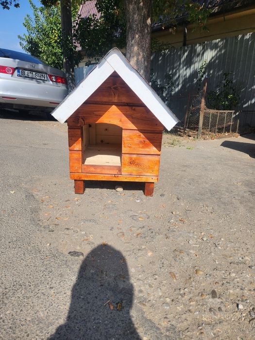 Coteț caine chitila