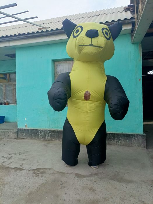 Ayiq polvon sotiladi