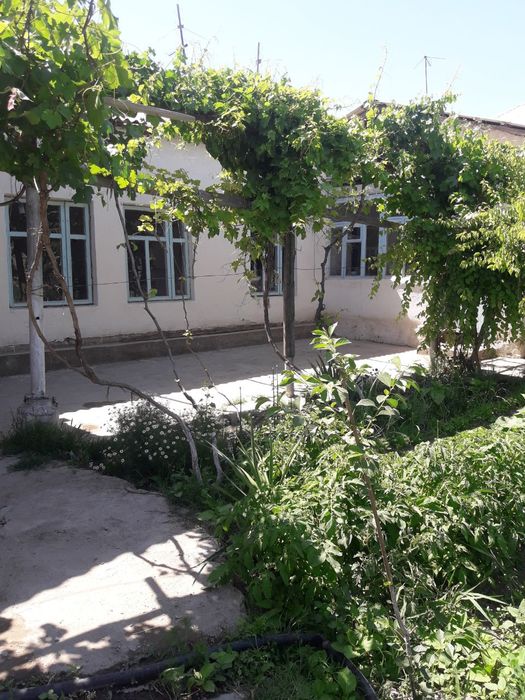 Когон Шахар maydon 9,5 сотих ховли 43000 $