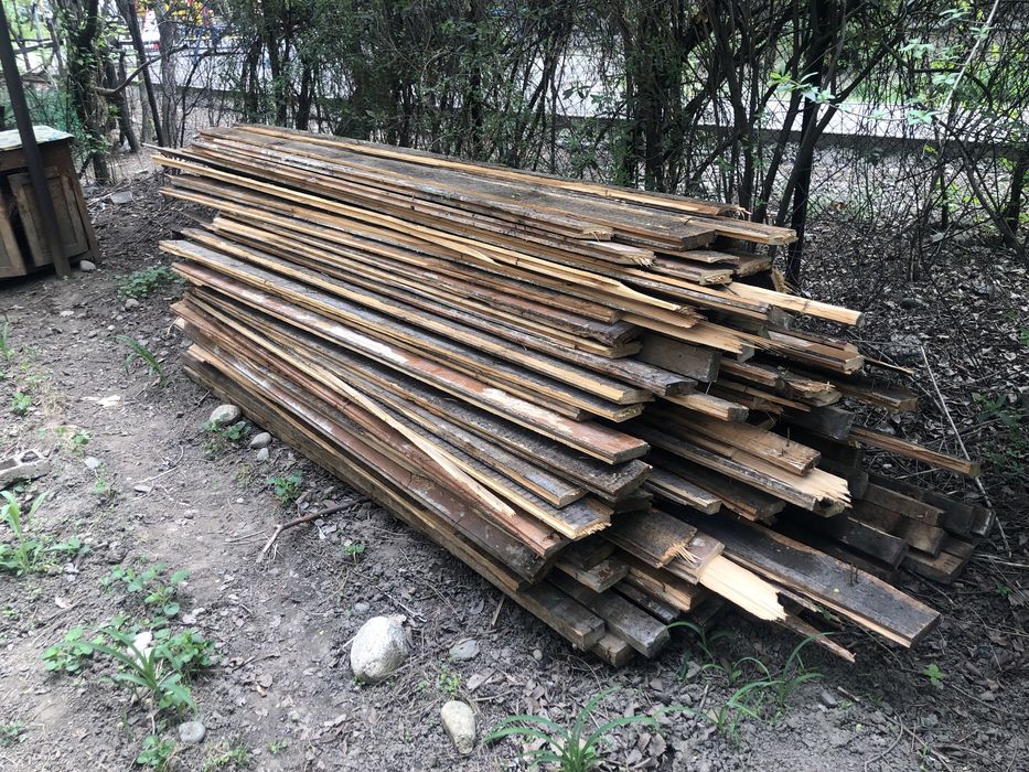 Половой агаш, страпила