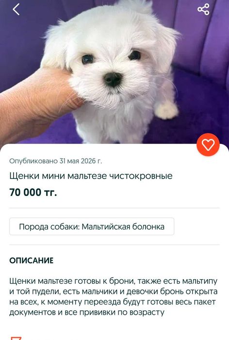 Осторожно мошенники!!!