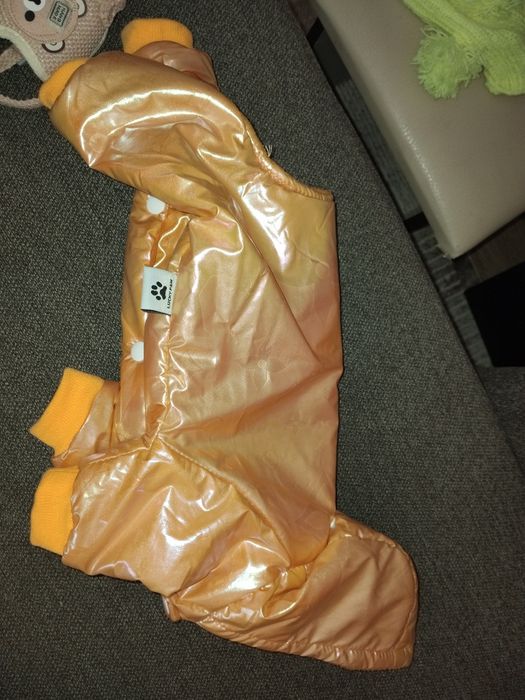 Одежда для маленькой собачки