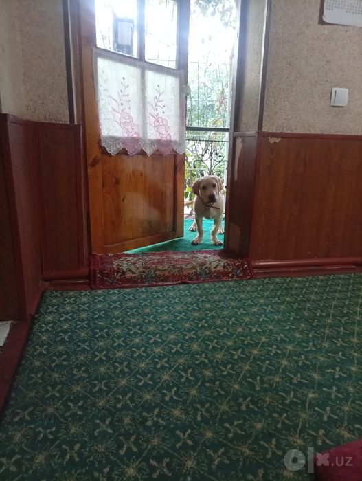 Manzil Parkent tumani
