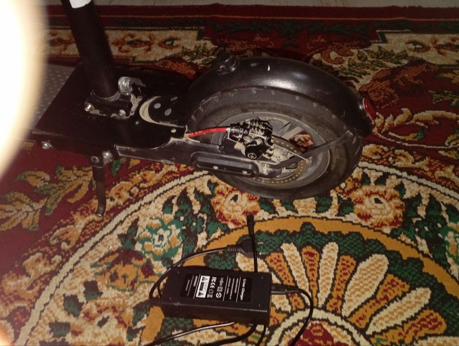 Samakat kop xaydalmagan xolati yangi