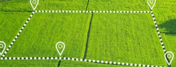 YerMevazor starmed kocha 2.8 sotik yer